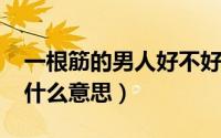 一根筋的男人好不好（10月08日男人一根筋什么意思）
