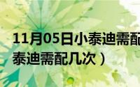 11月05日小泰迪需配几次狗狗（11月05日小泰迪需配几次）