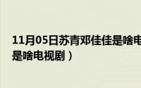 11月05日苏青邓佳佳是啥电视剧啊（11月05日苏青邓佳佳是啥电视剧）