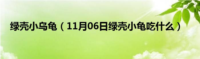 绿壳小乌龟（11月06日绿壳小龟吃什么）