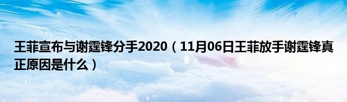 王菲宣布与谢霆锋分手2020（11月06日王菲放手谢霆锋真正原因是什么）