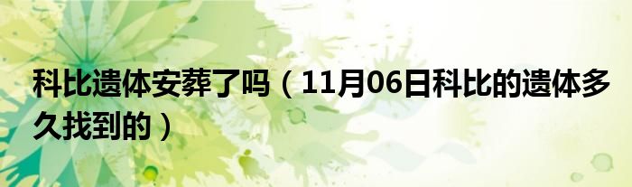 科比遗体安葬了吗（11月06日科比的遗体多久找到的）