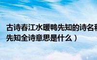古诗春江水暖鸭先知的诗名和全首诗（11月06日春江水暖鸭先知全诗意思是什么）