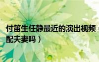 付笛生任静最近的演出视频（11月06日歌手付迪生任静是原配夫妻吗）