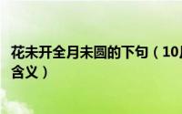 花未开全月未圆的下句（10月08日花未全开月未圆整首诗的含义）