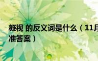 凝视 的反义词是什么（11月06日凝视的反义词是什么呢标准答案）
