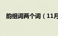 韵组词两个词（11月06日韵组词两个字）