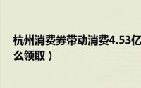 杭州消费券带动消费4.53亿（11月06日杭州春节消费券怎么领取）