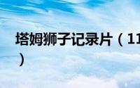 塔姆狮子记录片（11月06日母狮塔姆的结局）