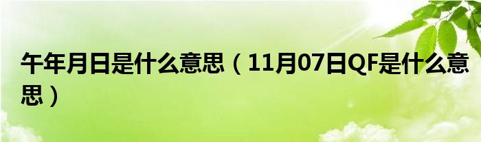 午年月日是什么意思（11月07日QF是什么意思）