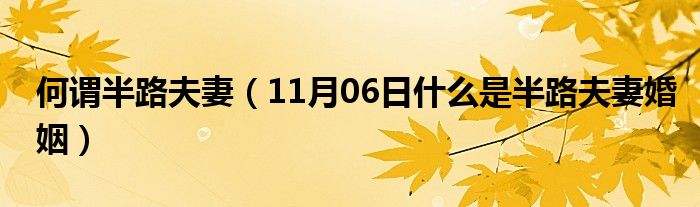 何谓半路夫妻（11月06日什么是半路夫妻婚姻）