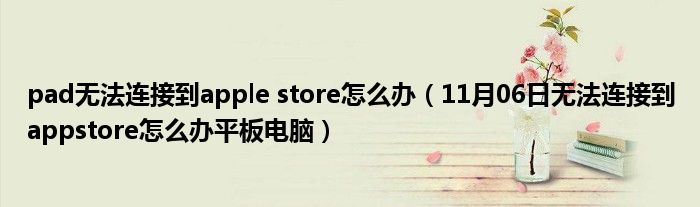 pad无法连接到apple store怎么办（11月06日无法连接到appstore怎么办平板电脑）