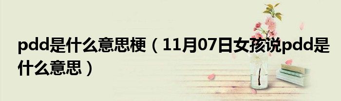 pdd是什么意思梗（11月07日女孩说pdd是什么意思）