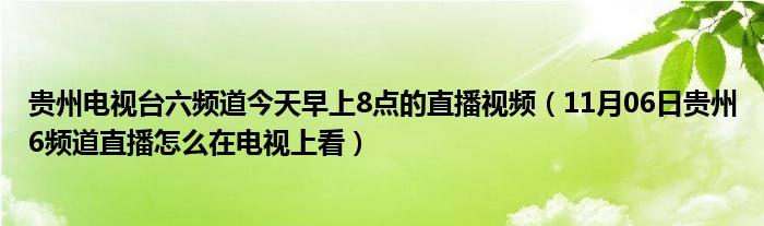 贵州电视台六频道今天早上8点的直播视频（11月06日贵州6频道直播怎么在电视上看）