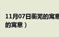 11月07日蘅芜的寓意和象征（11月07日蘅芜的寓意）