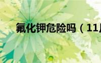 氟化钾危险吗（11月07日氟化钾用途）