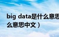 big data是什么意思（11月06日DATA是什么意思中文）
