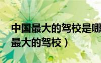 中国最大的驾校是哪个地方（11月06日中国最大的驾校）