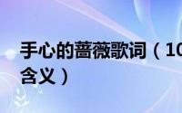 手心的蔷薇歌词（10月08日手心的蔷薇歌词含义）
