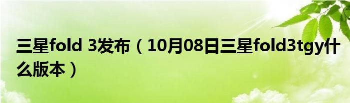 三星fold 3发布（10月08日三星fold3tgy什么版本）