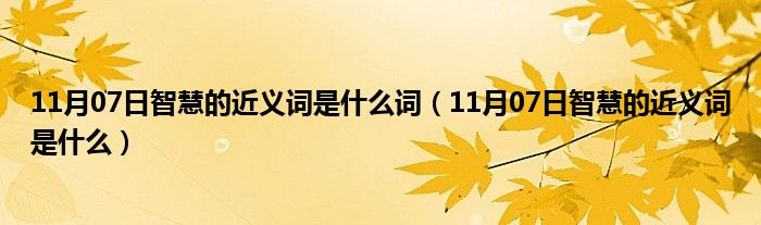 11月07日智慧的近义词是什么词（11月07日智慧的近义词是什么）