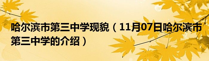 哈尔滨市第三中学现貌（11月07日哈尔滨市第三中学的介绍）