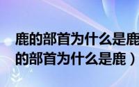 鹿的部首为什么是鹿而不是广（11月07日鹿的部首为什么是鹿）