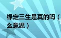缘定三生是真的吗（11月07日缘定三生是什么意思）