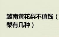 越南黄花梨不值钱（11月07日正宗越南黄花梨有几种）