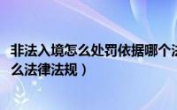 非法入境怎么处罚依据哪个法律（10月08日非法入境涉及什么法律法规）