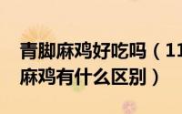 青脚麻鸡好吃吗（11月07日青脚麻鸡和铁脚麻鸡有什么区别）