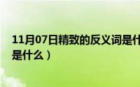 11月07日精致的反义词是什么呢（11月07日精致的反义词是什么）