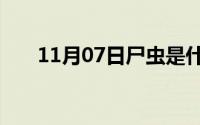 11月07日尸虫是什么它是怎么产生的