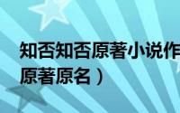 知否知否原著小说作者（11月07日知否小说原著原名）