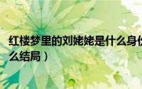 红楼梦里的刘姥姥是什么身份（11月07日红楼梦刘姥姥是什么结局）
