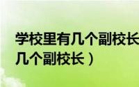 学校里有几个副校长（11月07日学校一般有几个副校长）