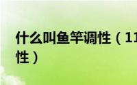 什么叫鱼竿调性（11月07日什么是鱼竿的调性）
