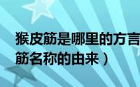 猴皮筋是哪里的方言（11月07日什么是猴皮筋名称的由来）