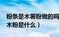 粉条是木薯粉做的吗（11月07日制作粉条的木粉是什么）