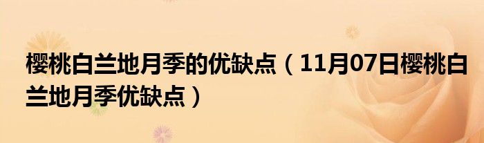 樱桃白兰地月季的优缺点（11月07日樱桃白兰地月季优缺点）