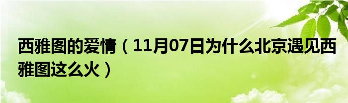 西雅图的爱情（11月07日为什么北京遇见西雅图这么火）