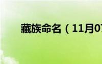 藏族命名（11月07日藏族贵族名字）