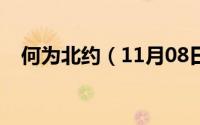 何为北约（11月08日什么叫做北约国家）