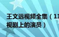王文远视频全集（11月07日王文远是什么电视剧上的演员）
