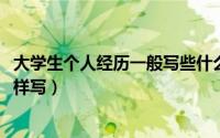 大学生个人经历一般写些什么（11月08日大学生个人经历怎样写）