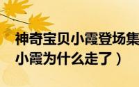 神奇宝贝小霞登场集数（10月08日神奇宝贝小霞为什么走了）
