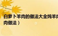 白萝卜羊肉的做法大全炖羊肉（11月07日吕小厨白萝卜炖羊肉做法）