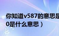 你知道v587的意思是什么呢（11月07日v500是什么意思）