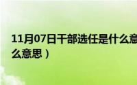 11月07日干部选任是什么意思呀（11月07日干部选任是什么意思）