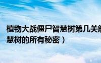 植物大战僵尸智慧树第几关解锁（11月07日植物大战僵尸智慧树的所有秘密）